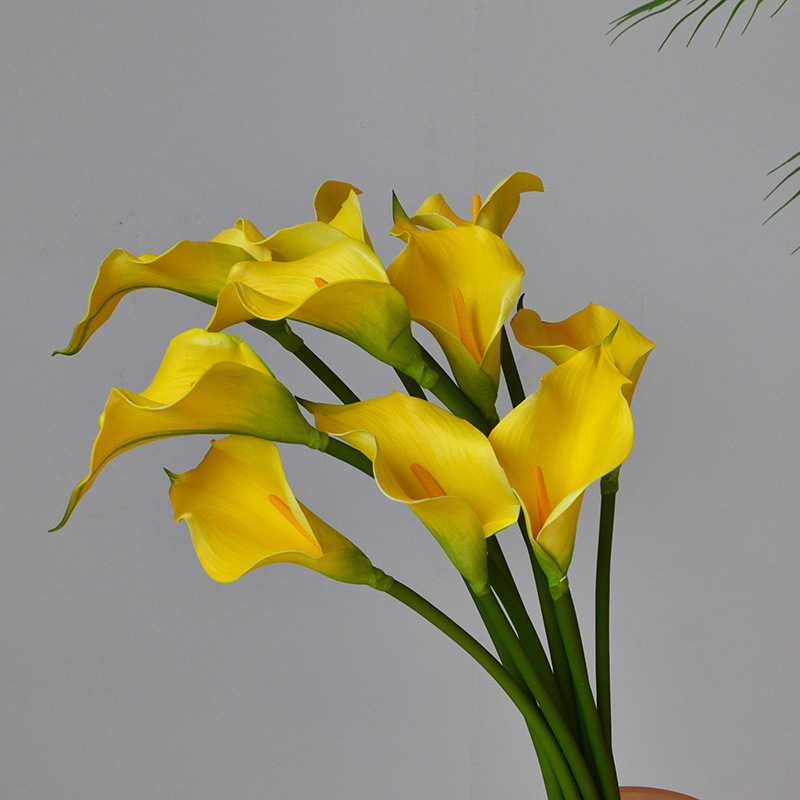 DSC_0765.jpg