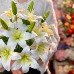 Многоголовая лилии имитация цветов гостиная цветочная композиция высокого уровня украшения - 图片 5