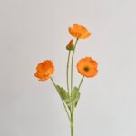 Сад Мона имитация цветочных материалов - 图片 51