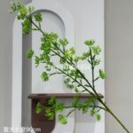 Весенний желто-зеленый имитационный цветок - 图片 29