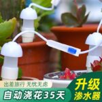 Небольшие автоматические поливные керамические фильтры - 图片 2