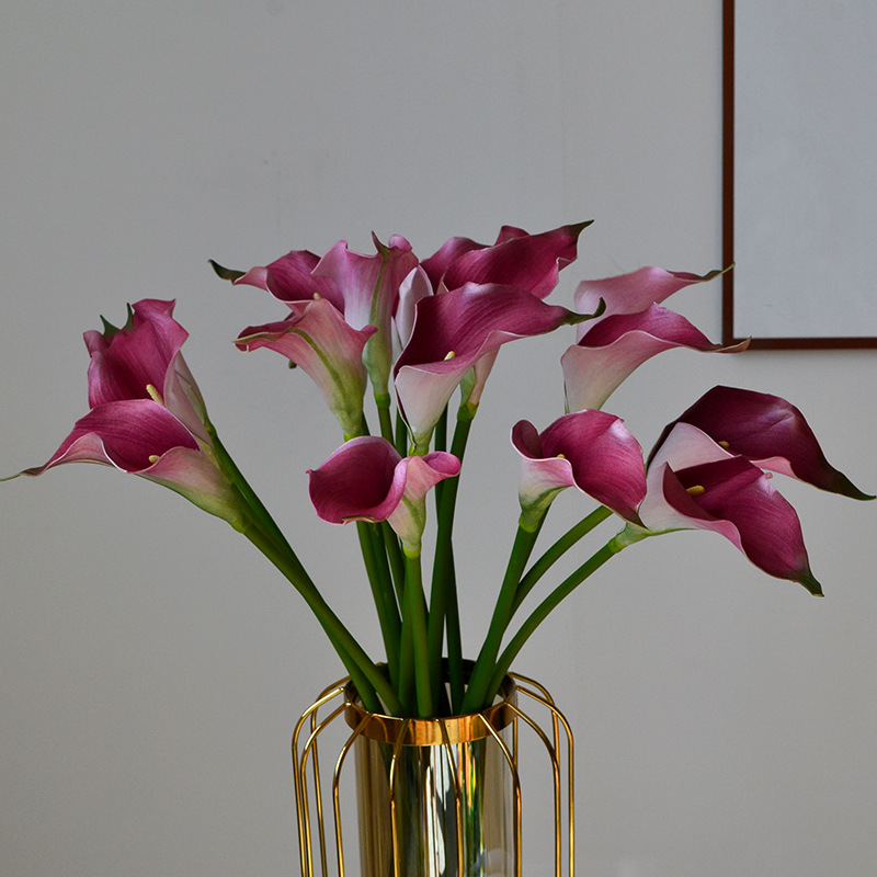 DSC_0772.jpg