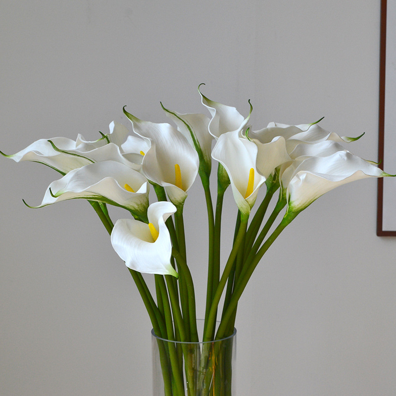 DSC_0763.jpg