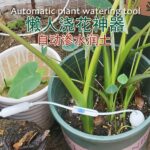 Небольшие автоматические поливные керамические фильтры - 图片 3