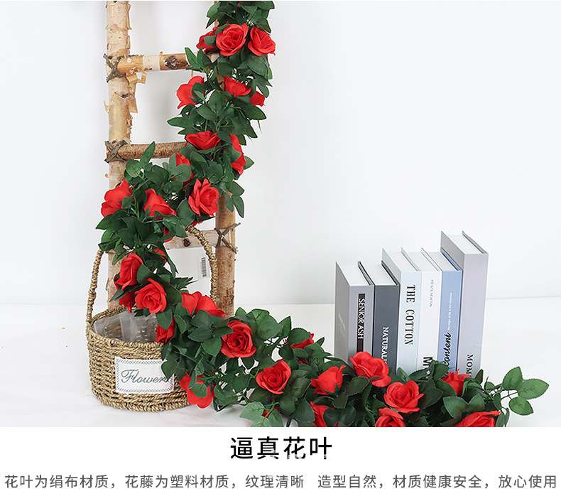 玫瑰花藤_02.jpg