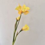 Сад Мона имитация цветочных материалов - 图片 21