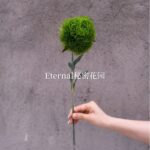 Весенний желто-зеленый имитационный цветок - 图片 35