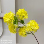 Весенний желто-зеленый имитационный цветок - 图片 53