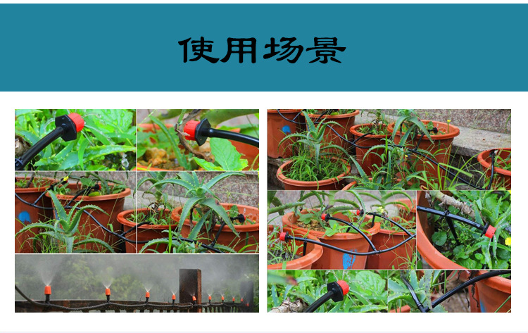 详情页-切片