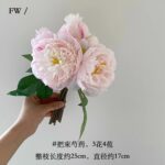 Пион имитация цветов - 图片 6