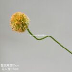 Весенний желто-зеленый имитационный цветок - 图片 32